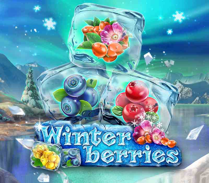 &https://sasgokil.com/39;Winterberries&https://sasgokil.com/39;